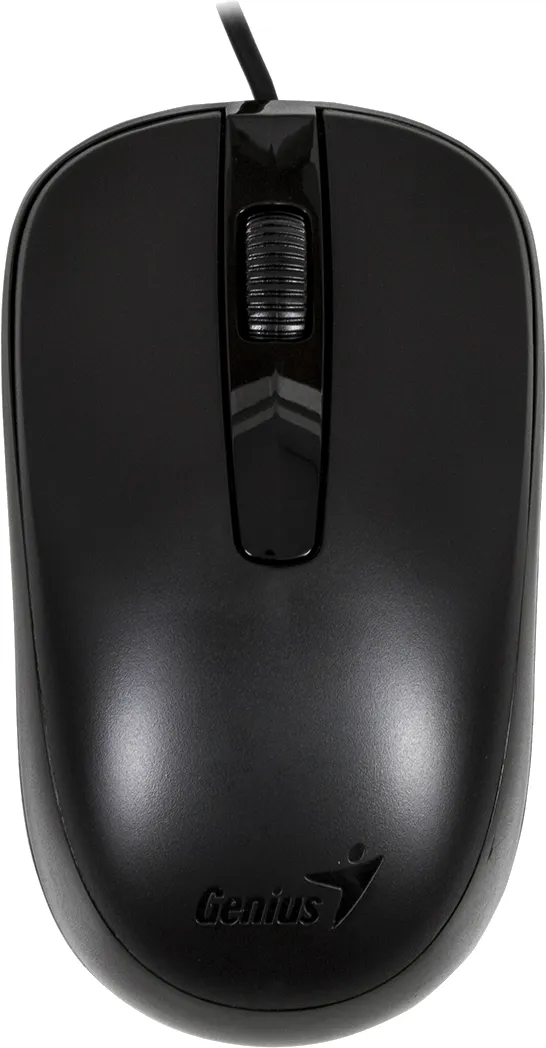 Мышь проводная Genius DX-120 USB Black (31010105100) - Фото 1