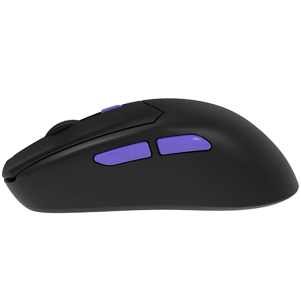 Фото - Мышь беспроводная игровая Proove Gaming Everon Black (WMEV00022001)