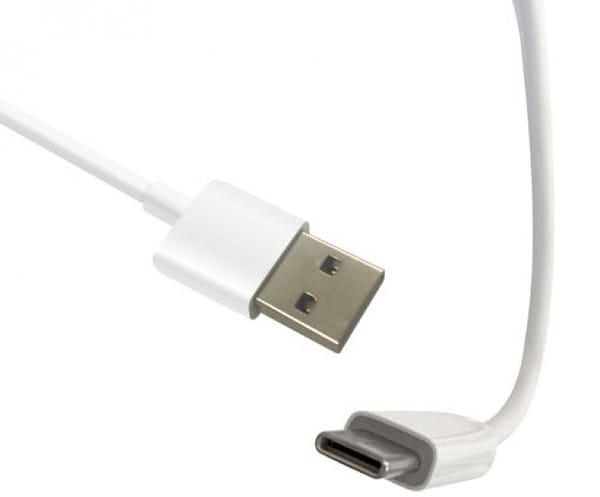 Фото - Зарядний пристрій для екшн-камери AIRON USB Type-C 3m + Type-C for Procam 7/8 (69477915500108)