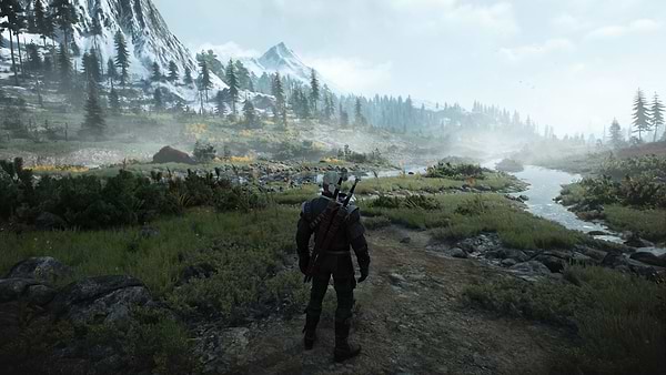 Фото - Ігровий диск PS5 The Witcher 3: Wild Hunt Complete Edition