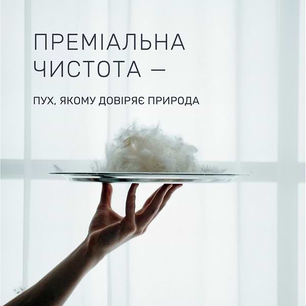 Фото - Ковдра всесезонна двоспальна євро MirSon Raffaello 063 200х220 см (2200000075154)