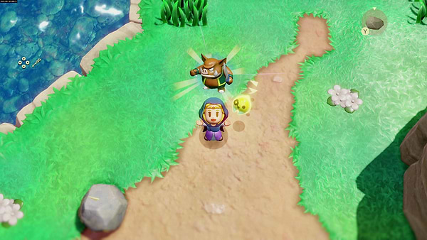 Фото - Игровой картридж Nintendo The Legend of Zelda: Echoes of Wisdom [Nintendo Switch]