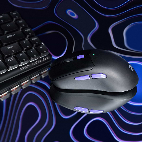 Фото - Мышь беспроводная игровая Proove Gaming Everon Black (WMEV00022001)