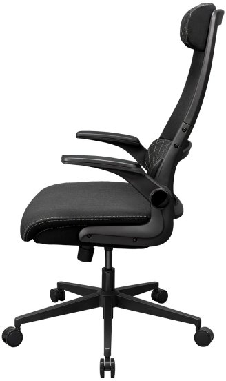 Фото - Крісло офісне Cougar STRYDER Black