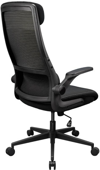 Фото - Крісло офісне Cougar STRYDER Black