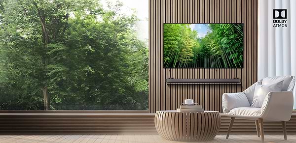 Фото - Телевизор LG OLED65W8PLA