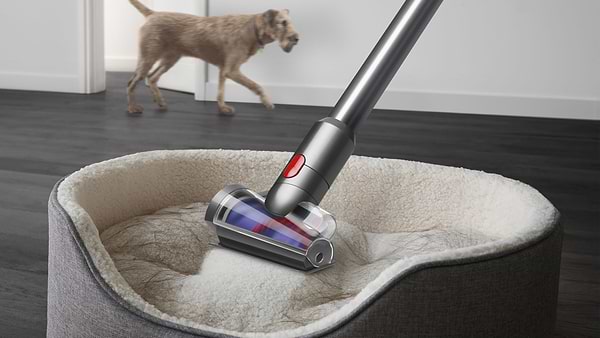Фото - Пилосос ручний для дому Dyson SV46 V12 DSAbs EU/CH/TR/ZA/MEA SYe/Ir/Nk (448884-01)