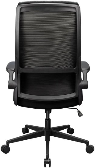 Фото - Крісло офісне Cougar STRYDER Black