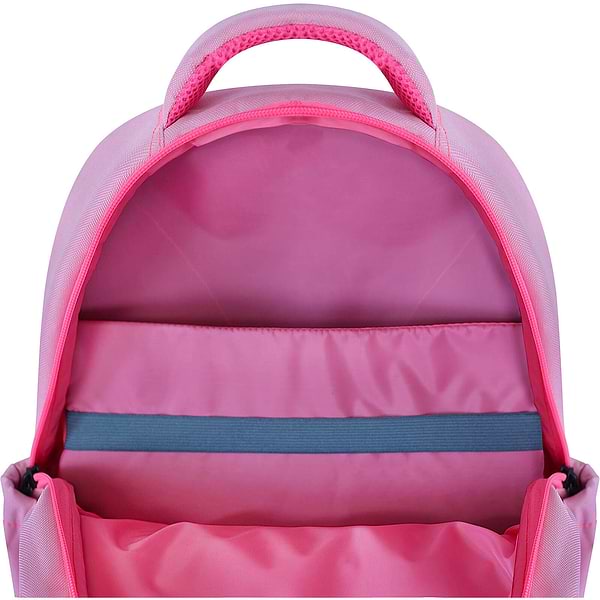 Фото - Рюкзак школьный Bagland Butterfly 21 л 140 Розовый 1349