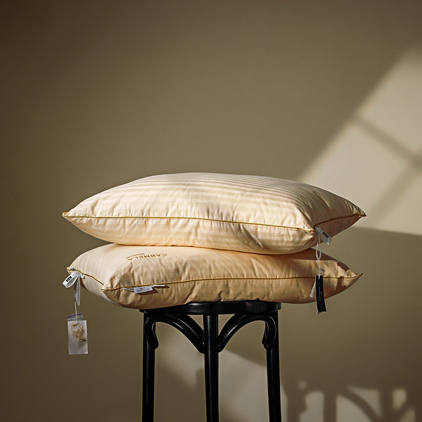 Фото - Подушка стандартная MirSon 1169 Carmela Hand Made EcoSilk 40х60 см (2200001514973)