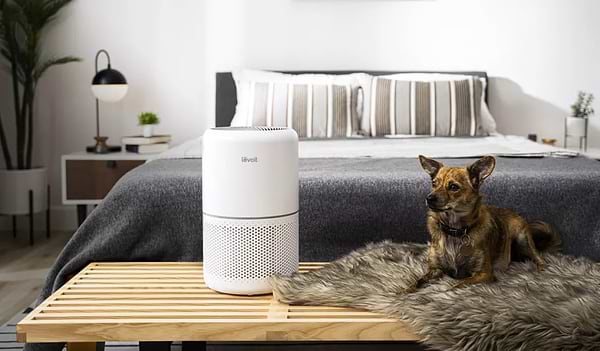 Фото - Очищувач повітря Levoit Smart Air Purifier Core 300S White (HEAPAPLVSEU0073)