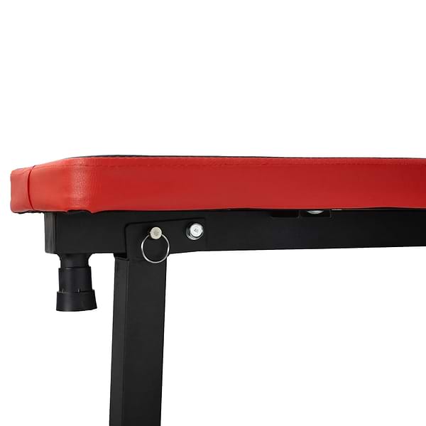 Фото - Лавка під штангу TECOFIT Squat rack 160х49 см (TOP20066154)