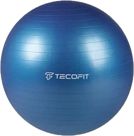Мяч для фитнеса TECOFIT PVC/ПВХ 65 см (TOP17113578/1)