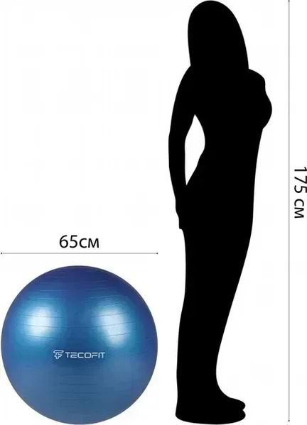 Фото - Мяч для фитнеса TECOFIT PVC/ПВХ 65 см (TOP17113578/1)