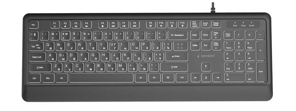 Клавиатура проводная Gembird Black (KB-UML-04-CYRL)
