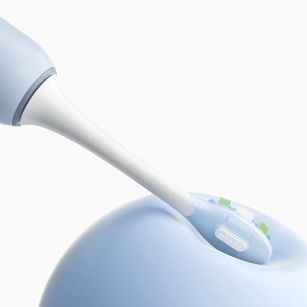 Фото - Насадка для зубної щітки Xiaomi Oscillation Electric Toothbrush Replacement Heads