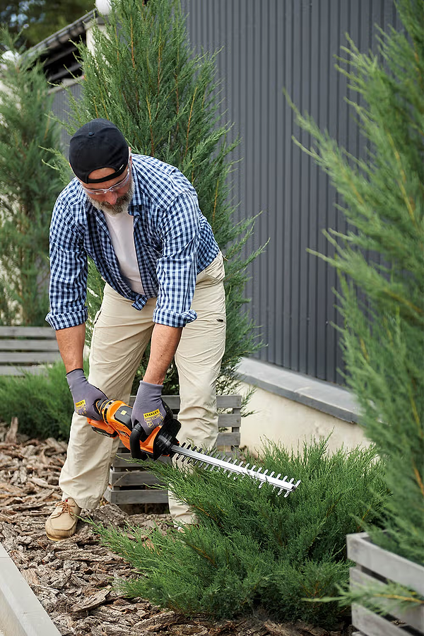 Фото - Кусторез SEQUOIA 20 В, 2 Аг (SBHT2020T-QV)