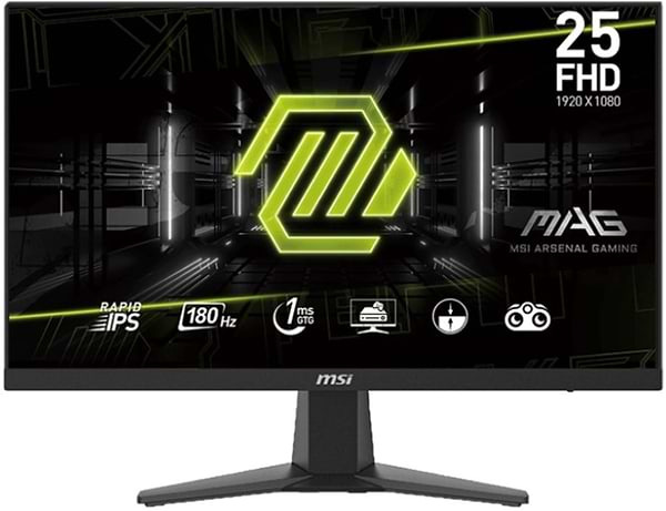 Фото - Монитор игровой MSI MAG 256F