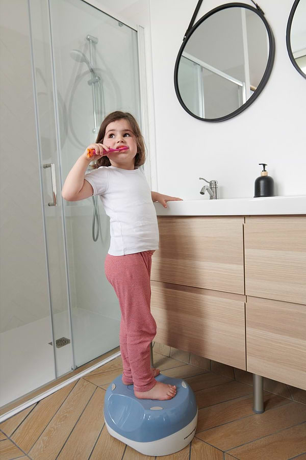 Фото - Горшок детский Bebe Confort 3 в 1