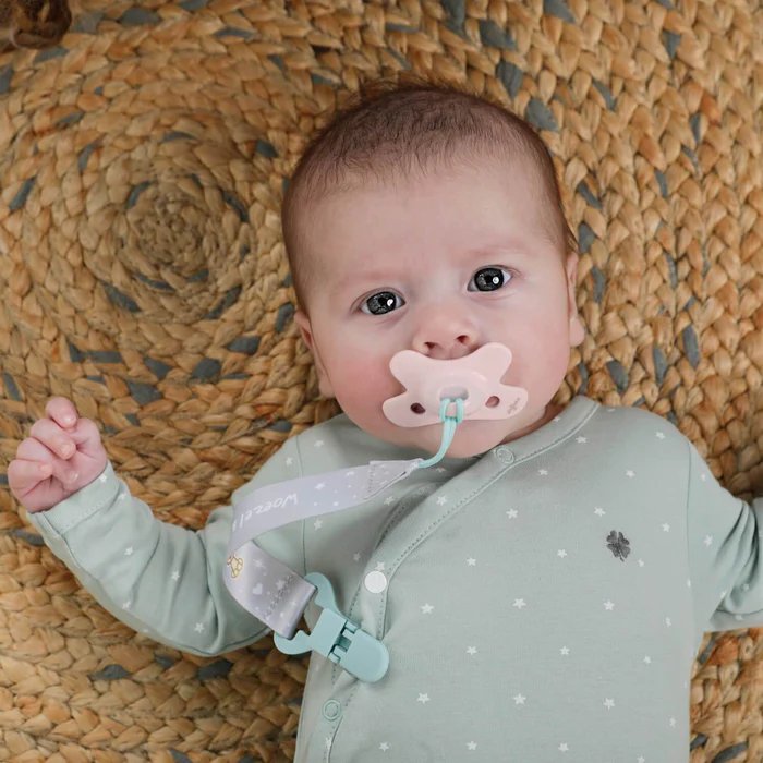 Фото - Ортодонтическая пустышка Difrax Dental 799 Blossom