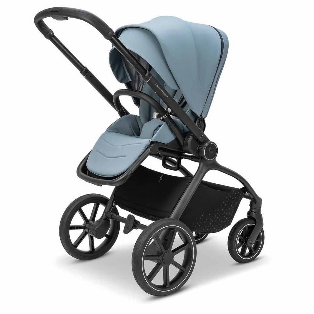 Фото - Коляска прогулянкова Storchenmuhle Nik Mint (120-344-340)