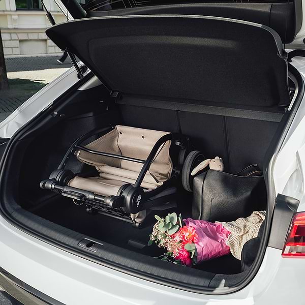 Фото - Коляска прогулочная Britax-Romer RIO Urban Olive (2000041615)