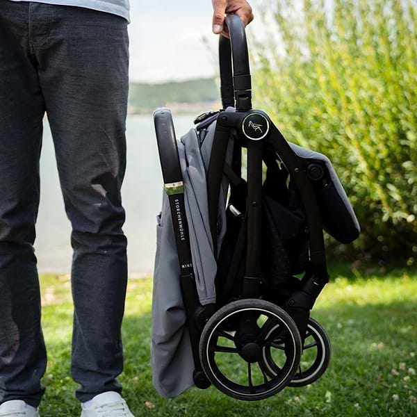 Фото - Коляска прогулочная Storchenmuhle Niko Iris (120-314-307)