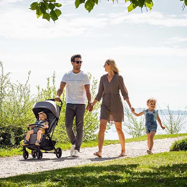 Фото - Коляска прогулочная Storchenmuhle Niko Iris (120-314-307)