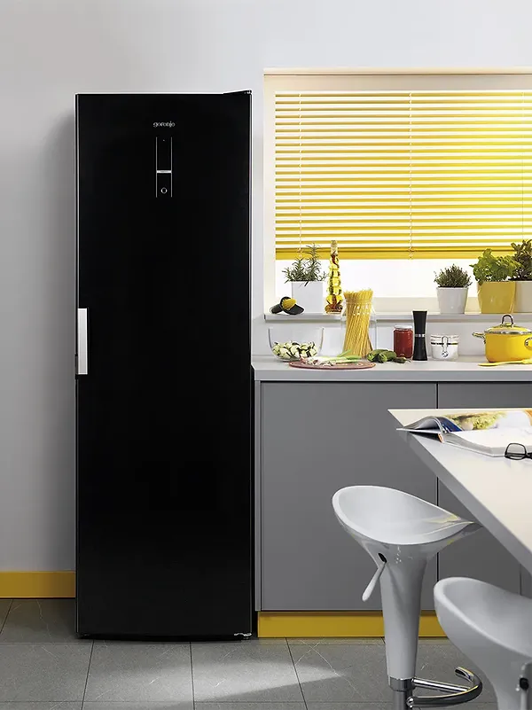Фото - Холодильник Gorenje R 6192 LB