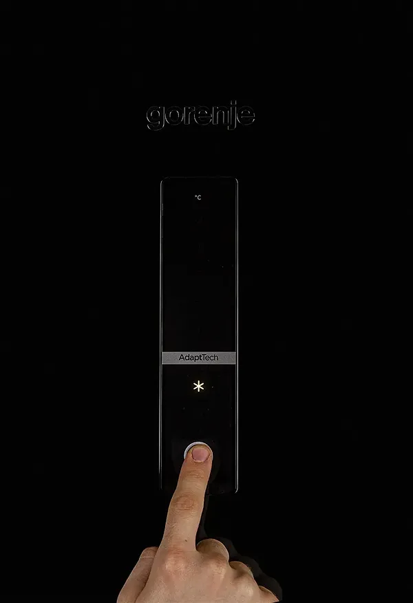 Фото - Холодильник Gorenje R 6192 LB