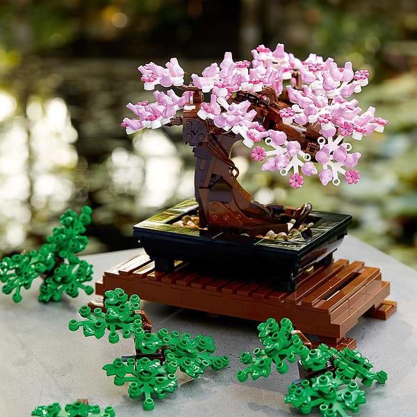 Фото - Конструктор LEGO Botanicals Дерево бонсай (10281)