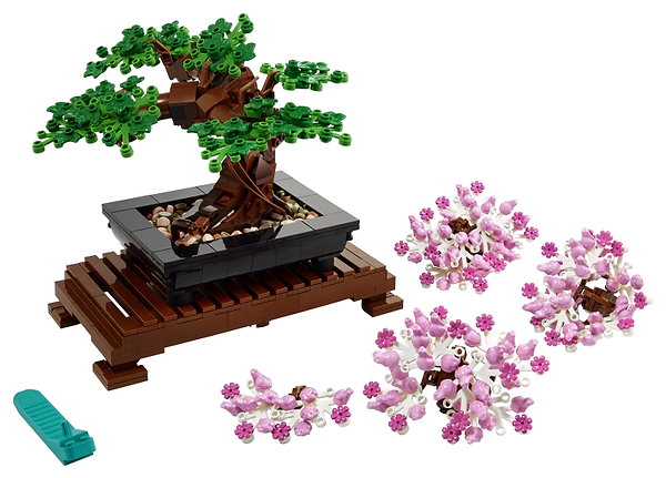 Фото - Конструктор LEGO Botanicals Дерево бонсай (10281)