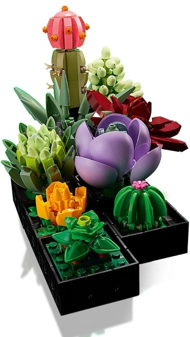 Фото -  LEGO Botanicals Сукуленти (10309)