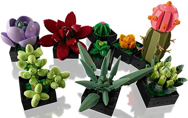 Фото -  LEGO Botanicals Сукуленти (10309)