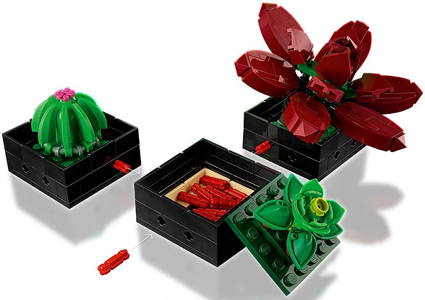 Фото -  LEGO Botanicals Сукуленти (10309)