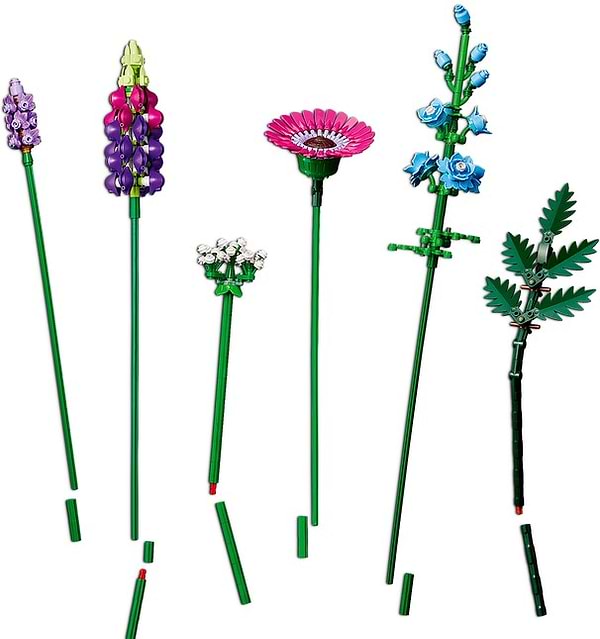 Фото -  LEGO Botanicals Букет польових квітів (10313)