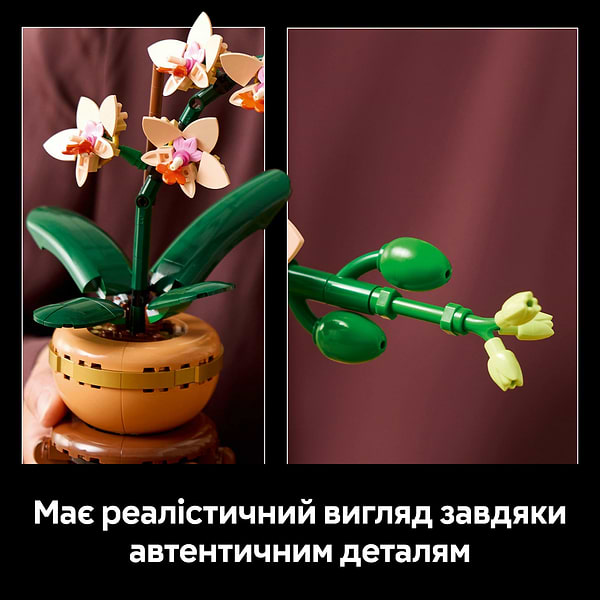 Фото - Конструктор LEGO Botanicals Мини орхидея (10343)