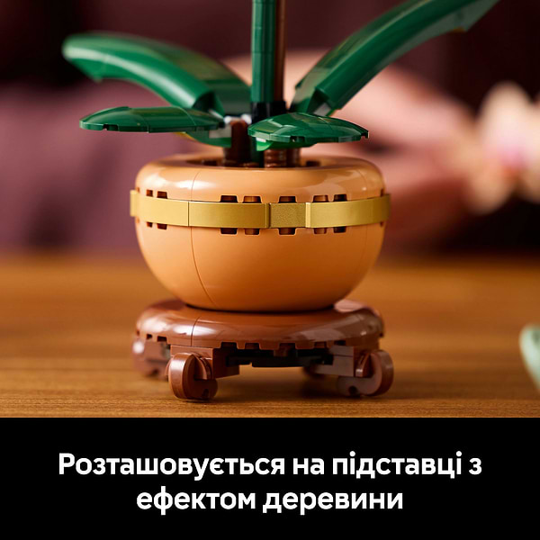 Фото - Конструктор LEGO Botanicals Мини орхидея (10343)