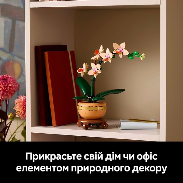 Фото - Конструктор LEGO Botanicals Мини орхидея (10343)