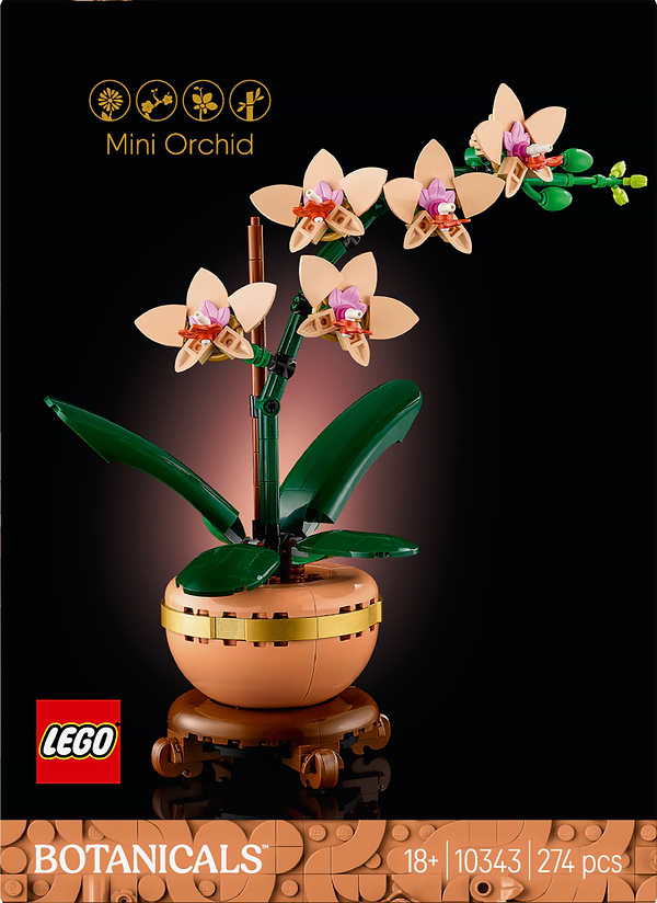 Фото - Конструктор LEGO Botanicals Мини орхидея (10343)