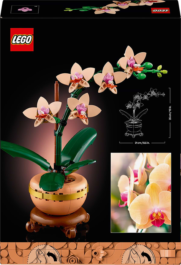 Фото - Конструктор LEGO Botanicals Мини орхидея (10343)