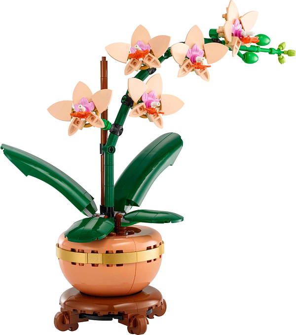 Фото - Конструктор LEGO Botanicals Мини орхидея (10343)
