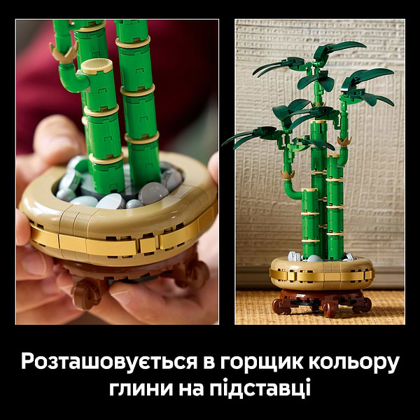 Фото -  LEGO Botanicals Бамбук щастя (10344)