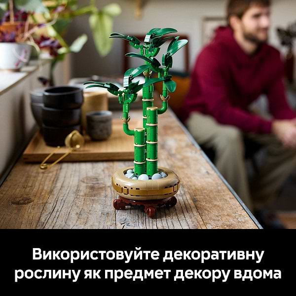 Фото -  LEGO Botanicals Бамбук щастя (10344)