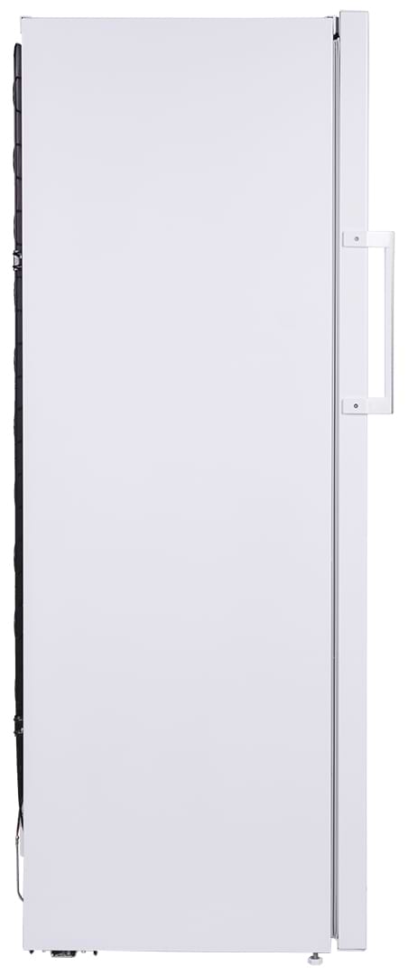 Фото - Морозильна камера Beko RFNE290L21W
