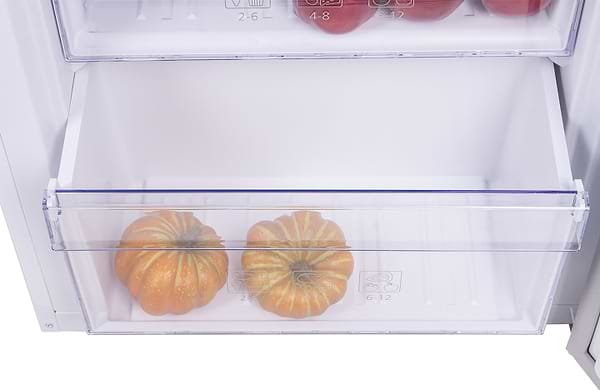 Фото - Морозильна камера Beko RFNE290L21W