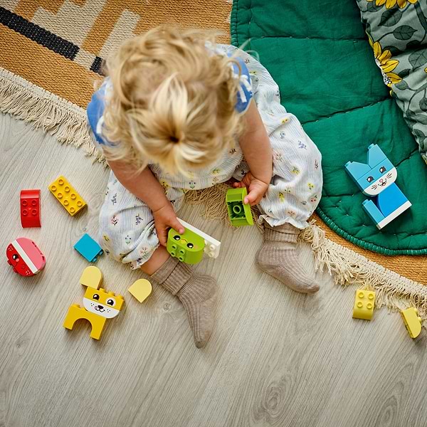 Фото - Конструктор LEGO DUPLO My First Волшебные творческие домашние питомцы 3 в 1 (10477)