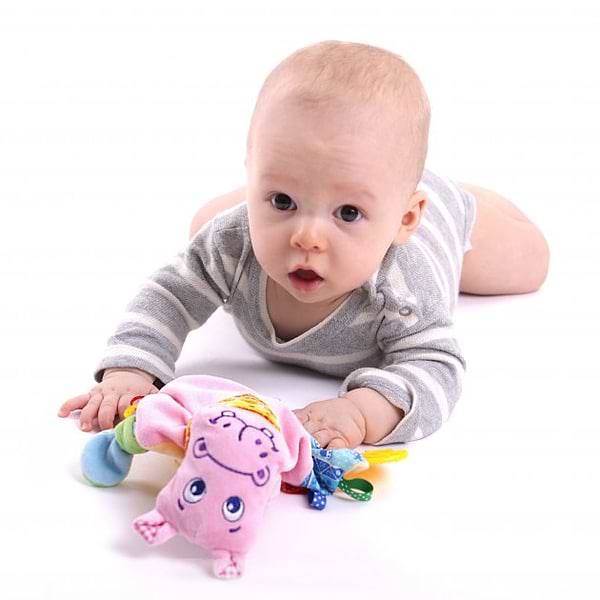 Фото - Прорізувач Macik Зоо" Бегемот Добряк" (МС 160201-02)