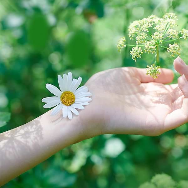 Фото - Прокладки гігієнічні Naturella Camomile Normal Single з крильцями 10шт