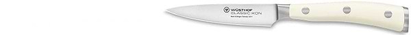 Фото - Набор ножей Wuesthof 6 пр. (1090470602)